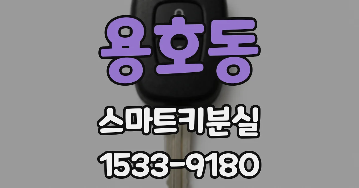 용호동 스마트키분실