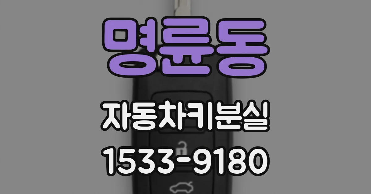 명륜동 자동차키분실