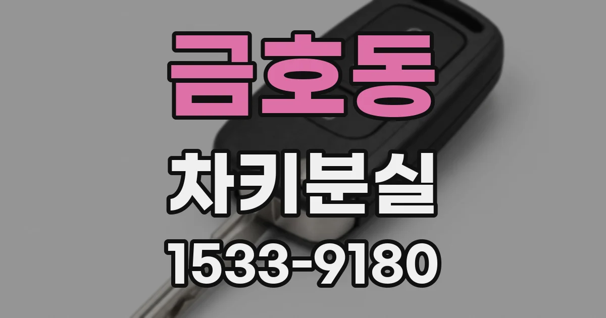 금호동 차키분실