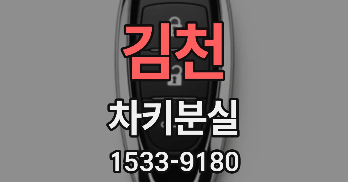 김천 차키분실