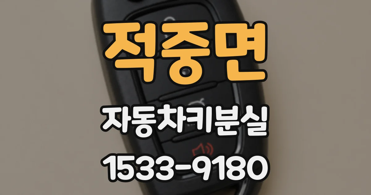 적중면 자동차키분실