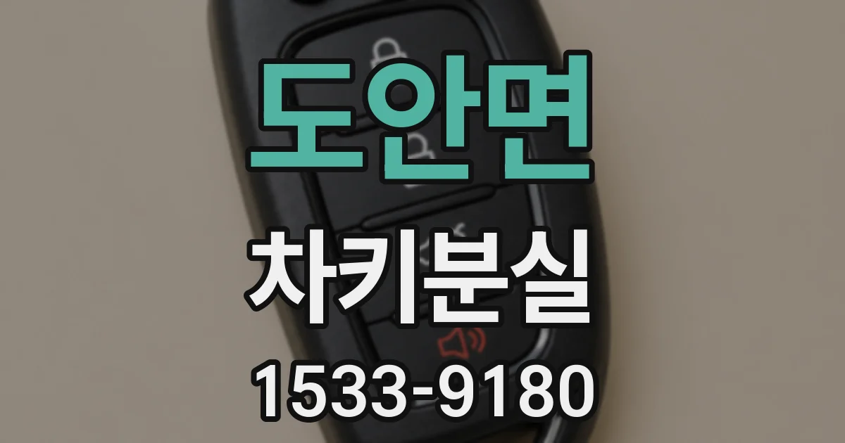 도안면 차키분실