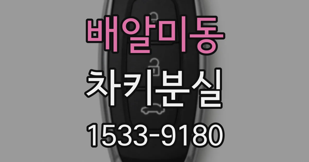배알미동 차키분실