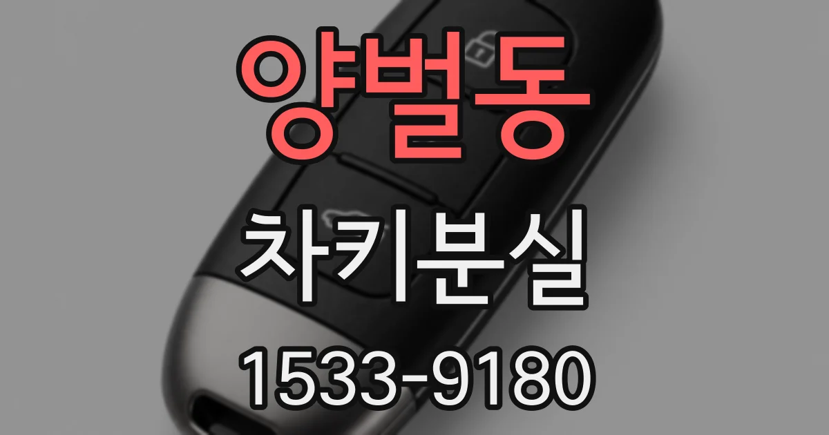 양벌동 차키분실