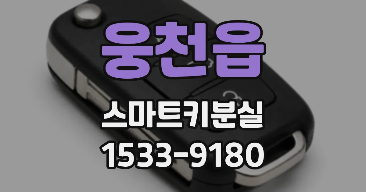 웅천읍 스마트키분실