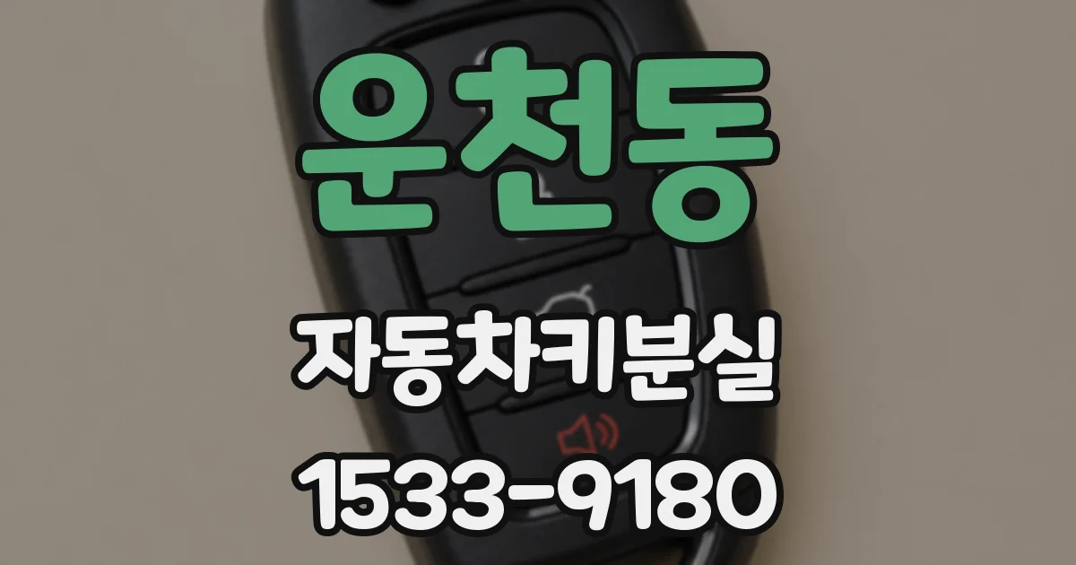 운천동 자동차키분실