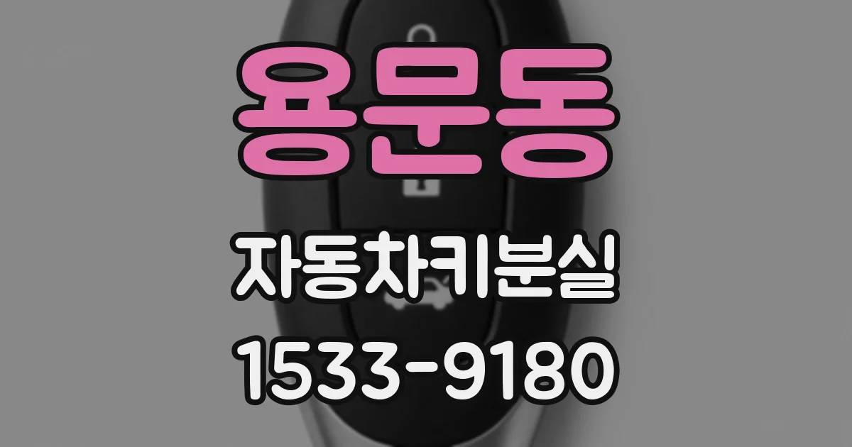 용문동 자동차키분실