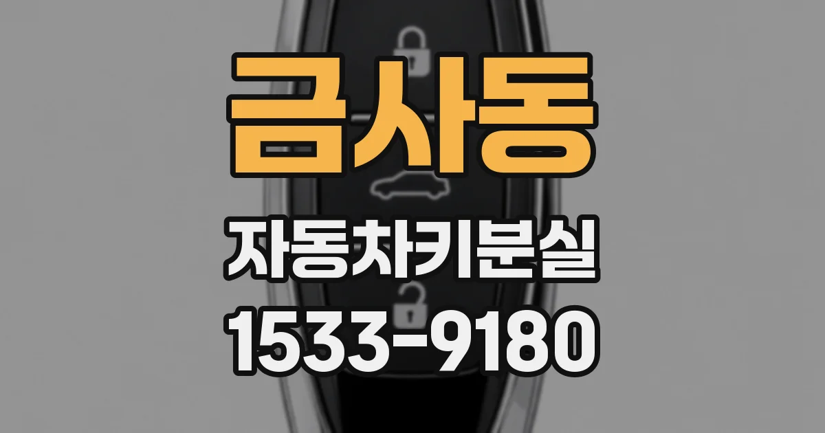 금사동 자동차키분실