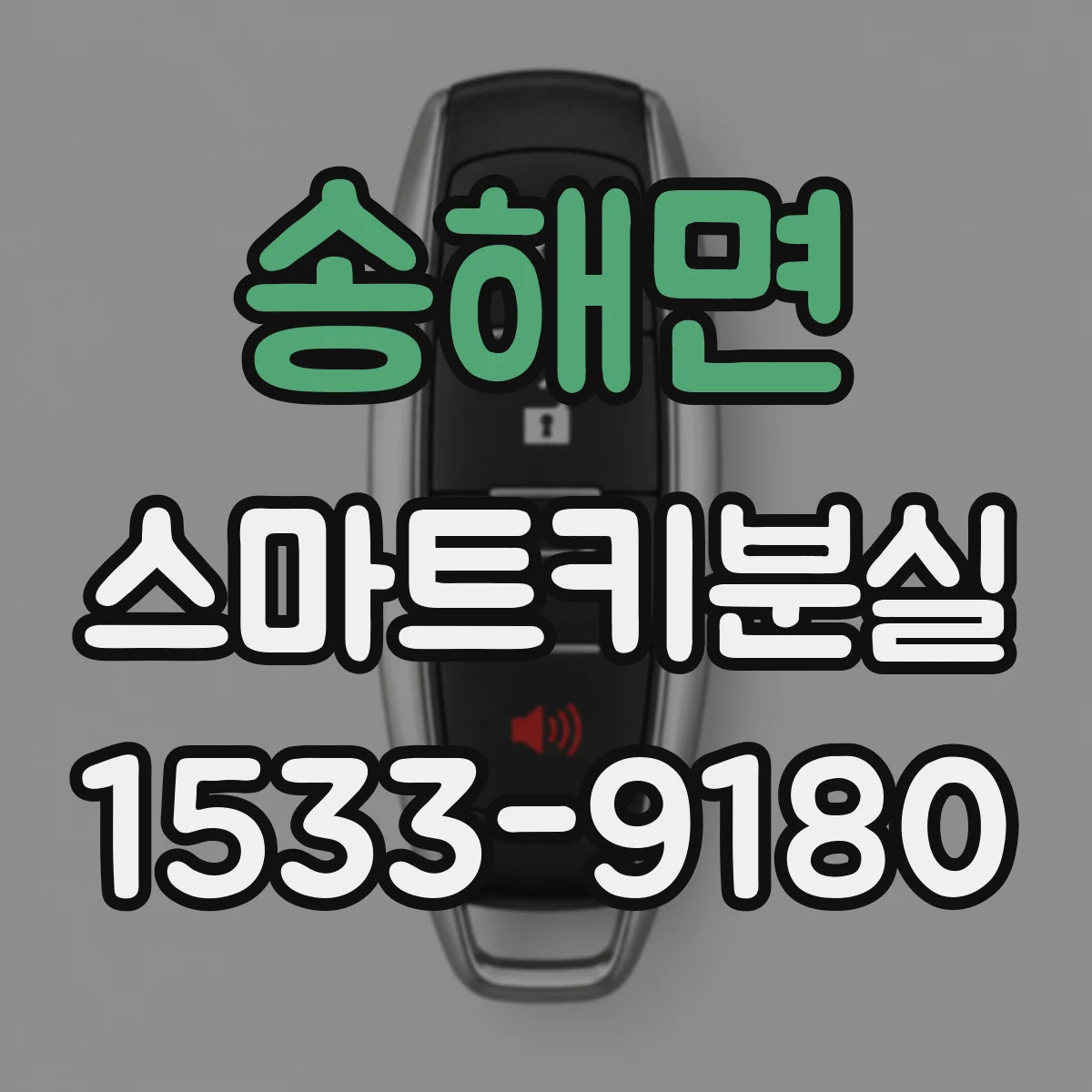 송해면 스마트키분실
