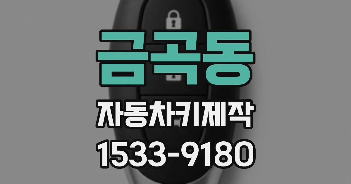금곡동 자동차키제작