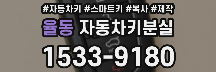 율동 자동차키분실