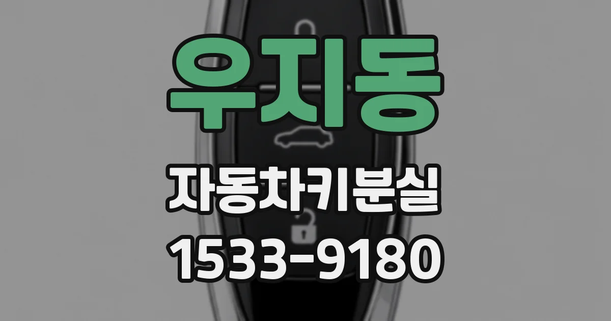 우지동 자동차키분실