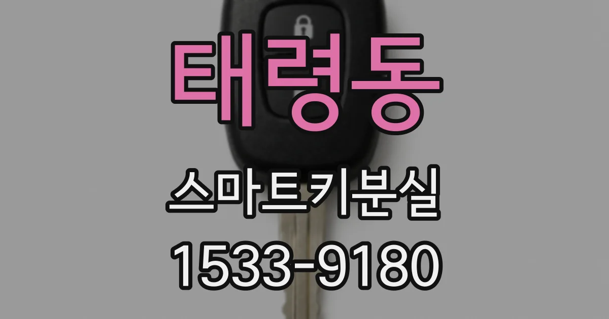 태령동 스마트키분실