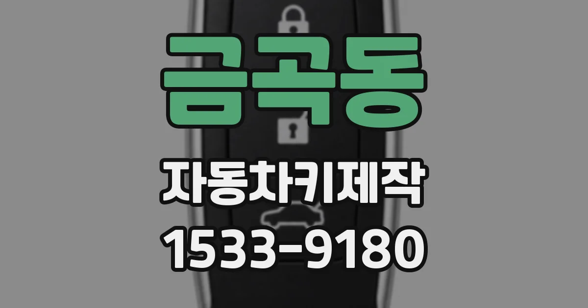 금곡동 자동차키제작