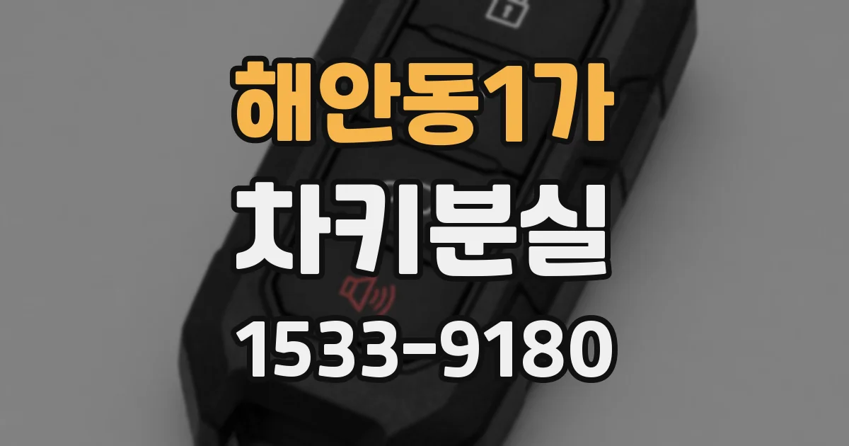 해안동1가 차키분실