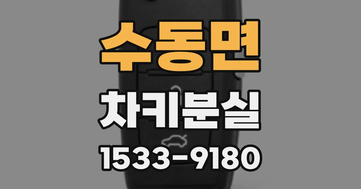 수동면 차키분실