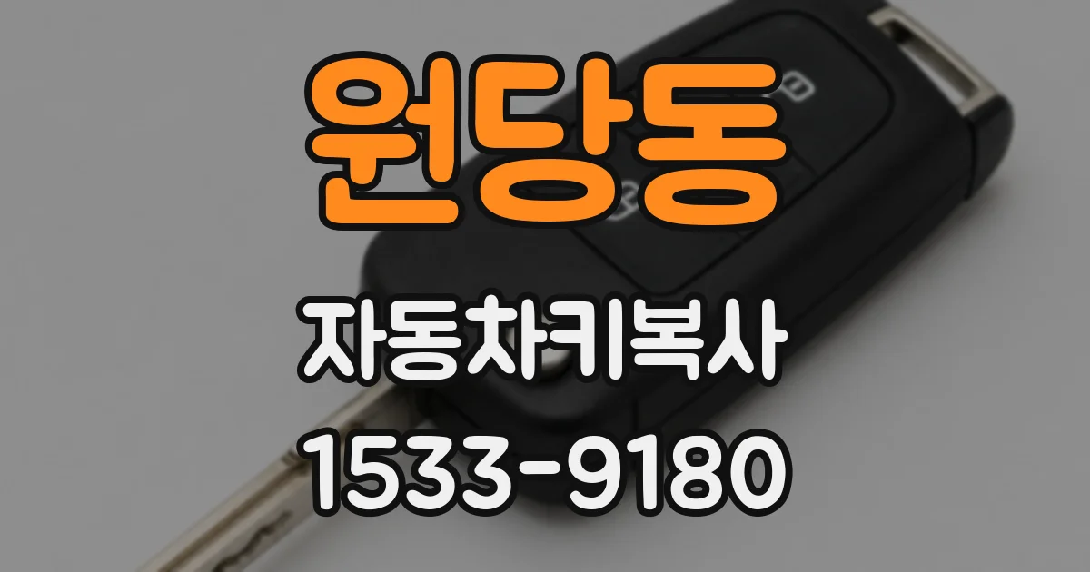원당동 자동차키복사