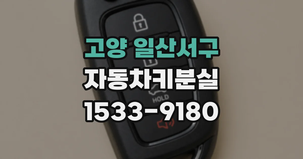 고양 일산서구 자동차키분실