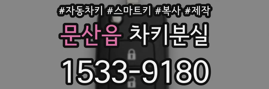 문산읍 차키분실