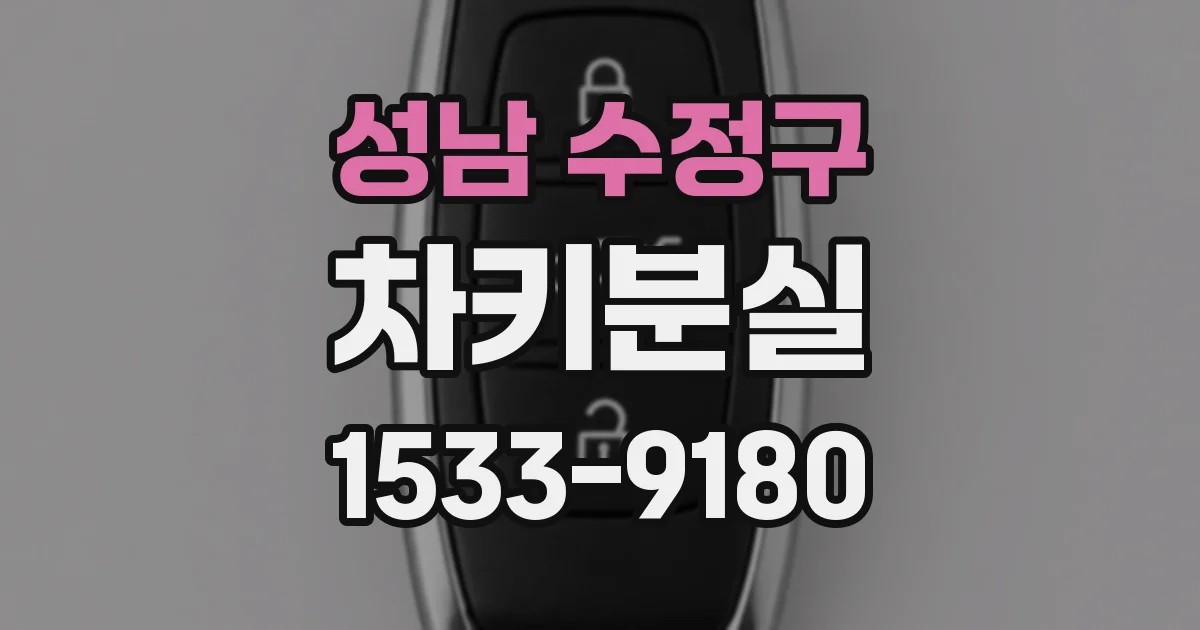성남 수정구 차키분실