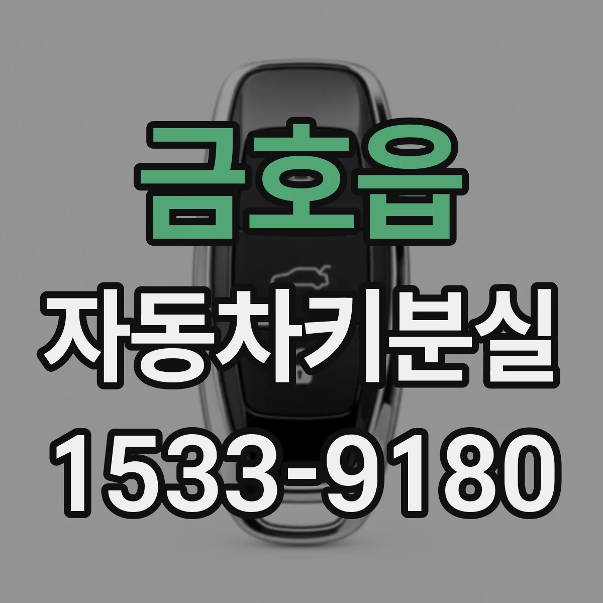 금호읍 자동차키분실
