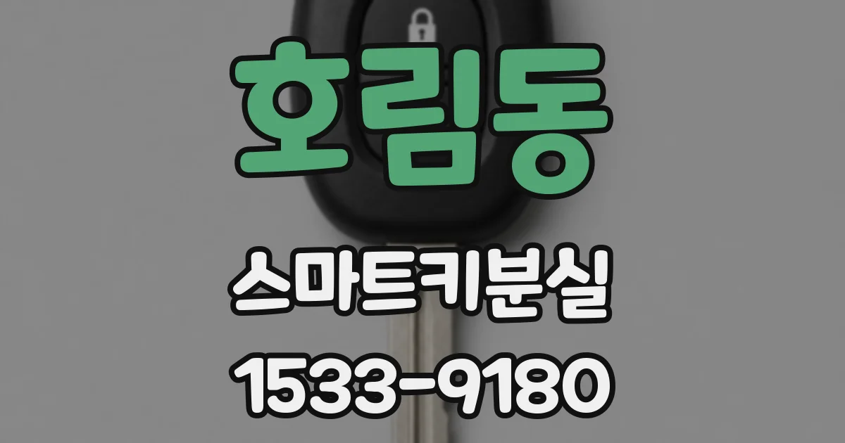 호림동 스마트키분실