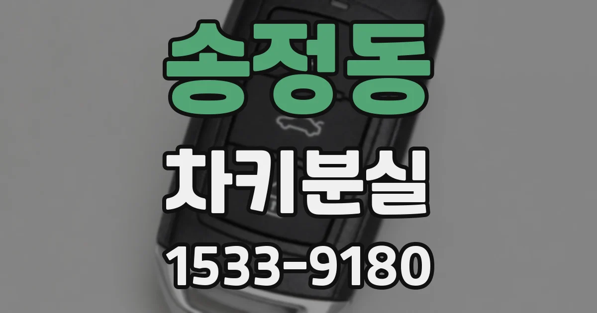 송정동 차키분실