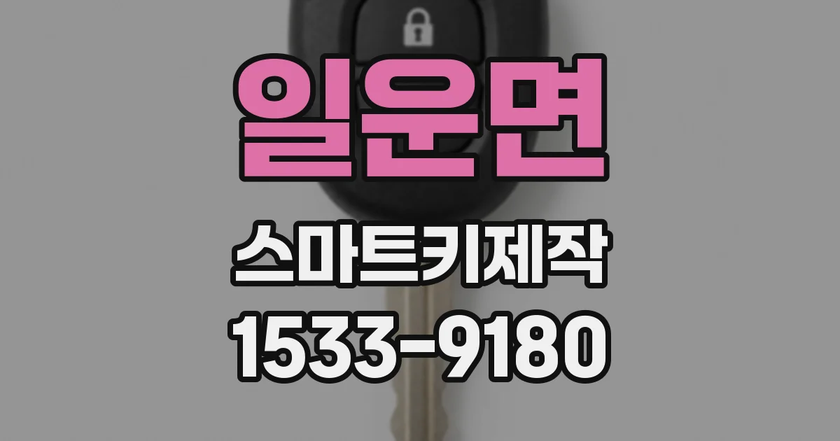 일운면 스마트키제작