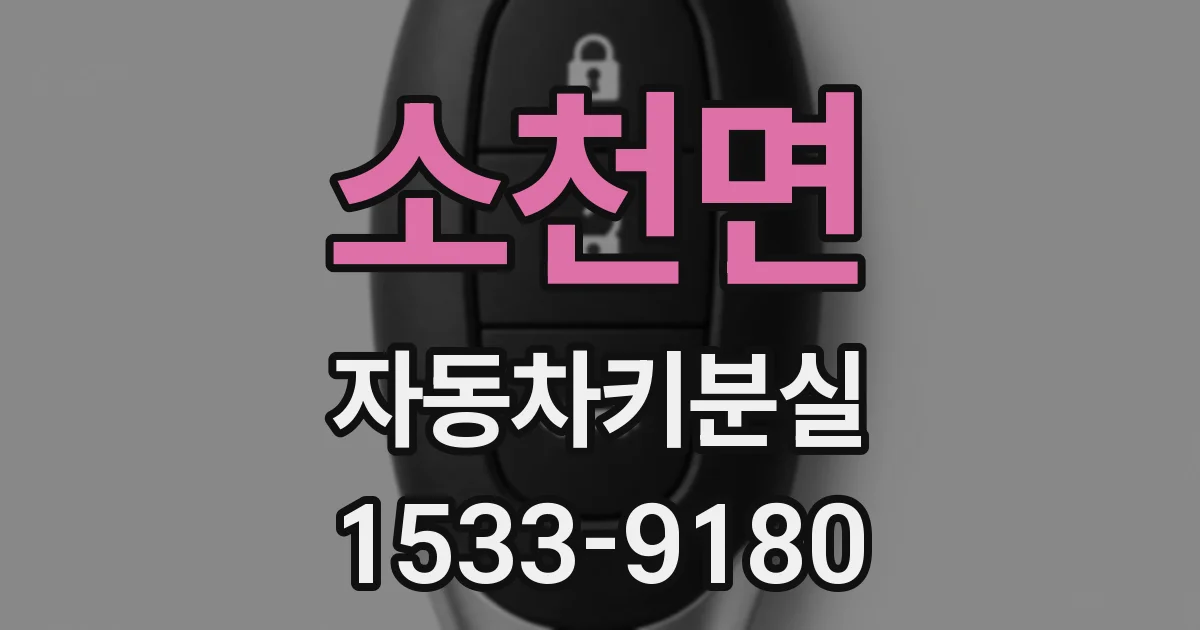 소천면 자동차키분실