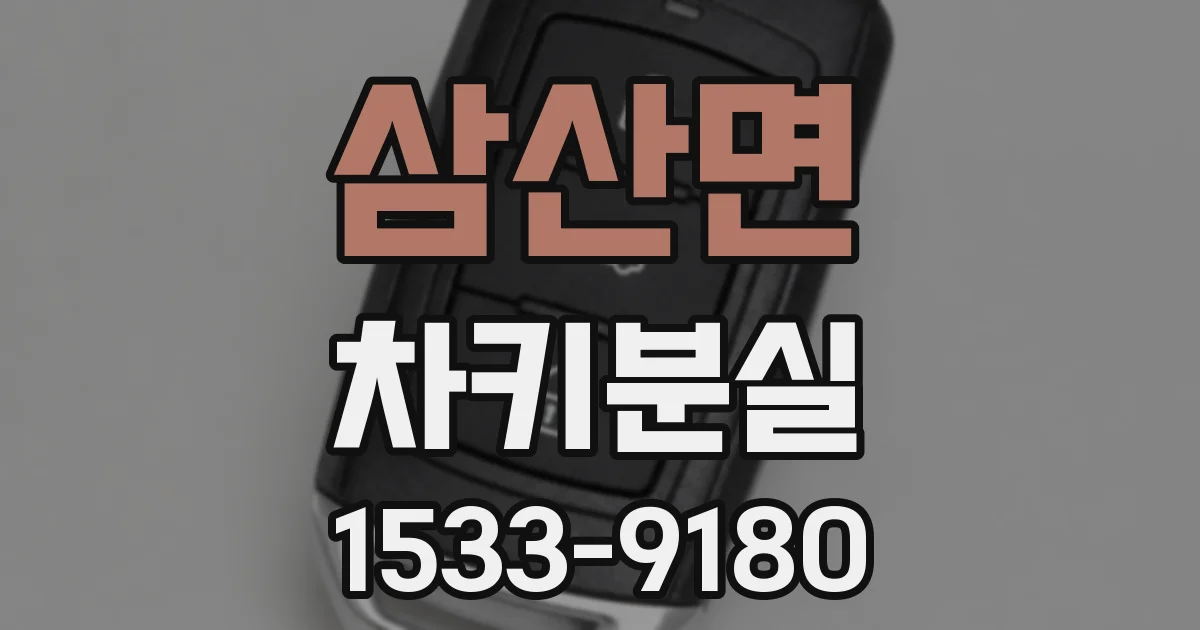 삼산면 차키분실