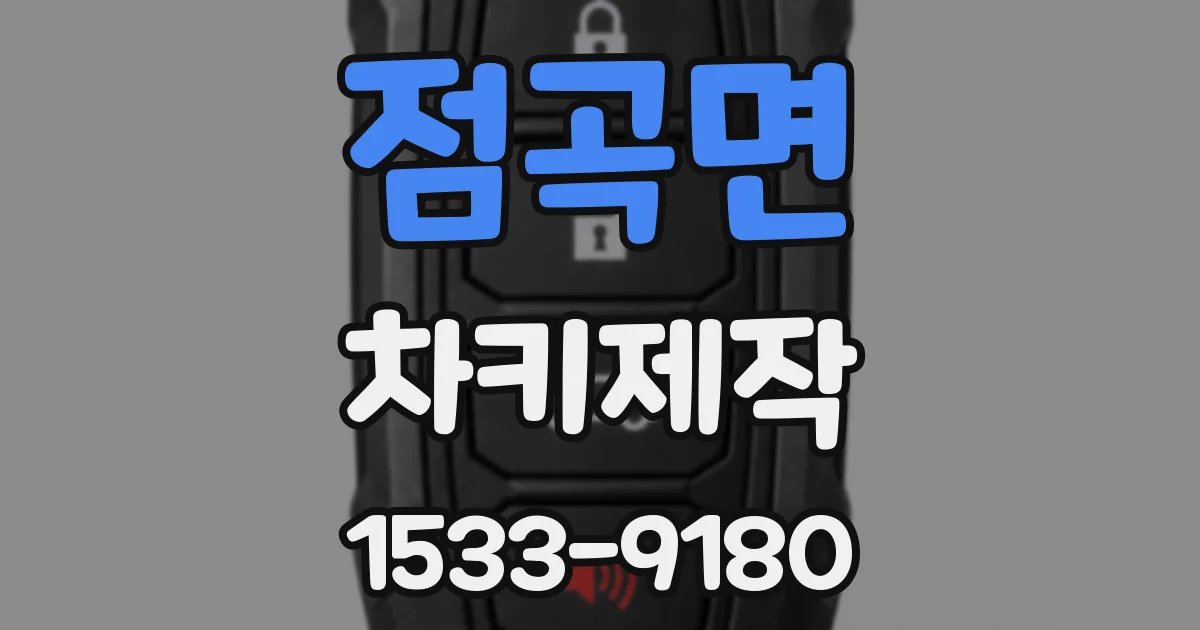 점곡면 차키제작