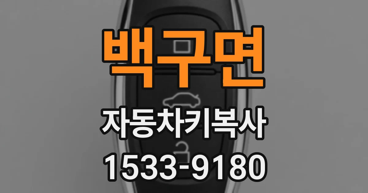 백구면 자동차키복사