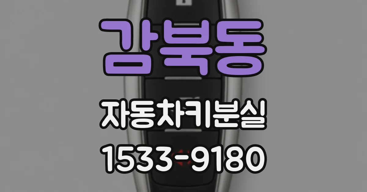 감북동 자동차키분실