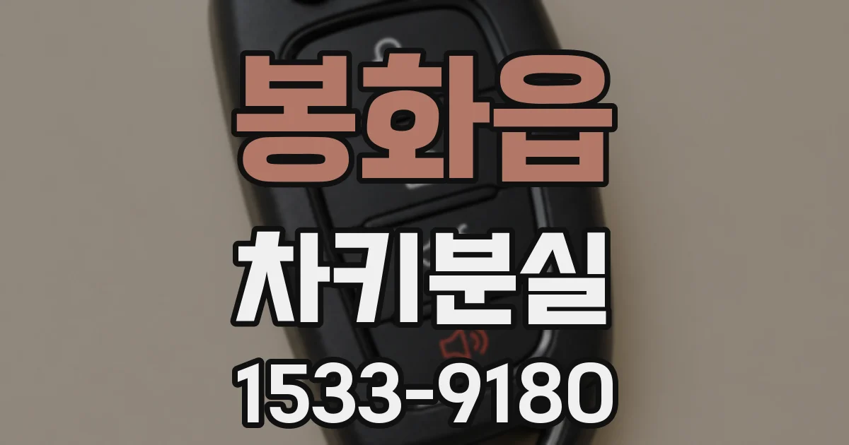 봉화읍 차키분실
