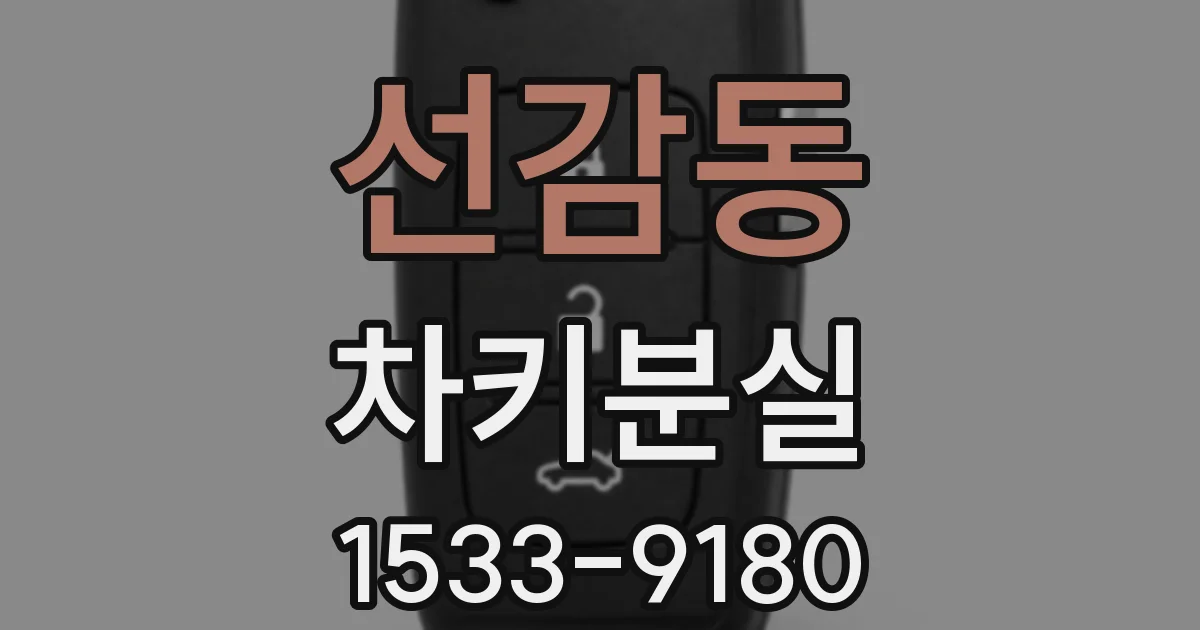 선감동 차키분실