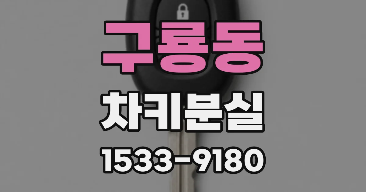 구룡동 차키분실