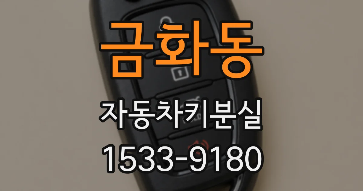 금화동 자동차키분실