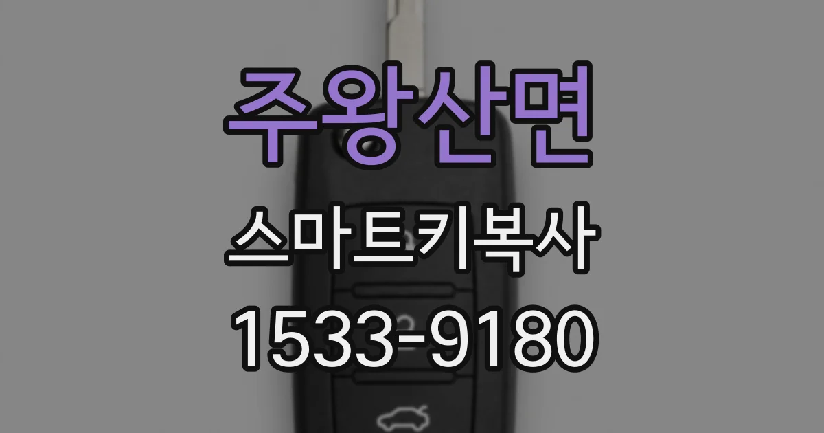 주왕산면 스마트키복사