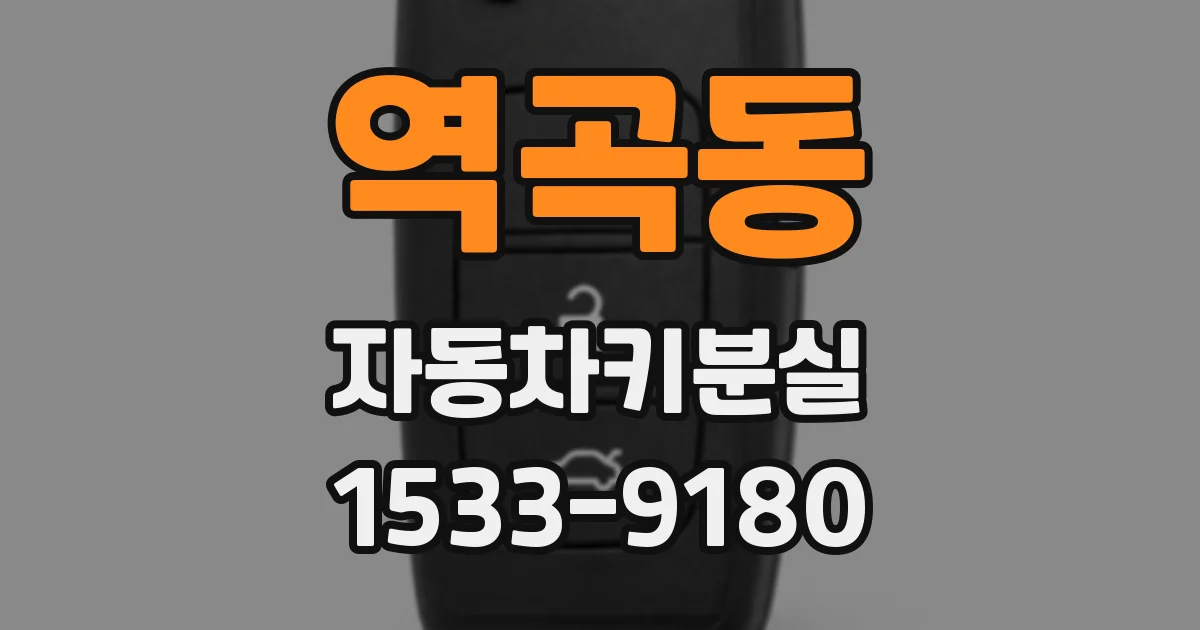 역곡동 자동차키분실