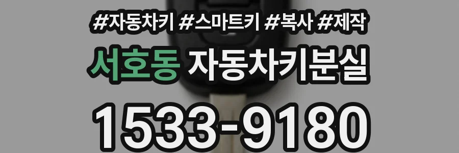서호동 자동차키분실