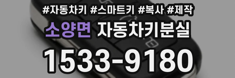 소양면 자동차키분실