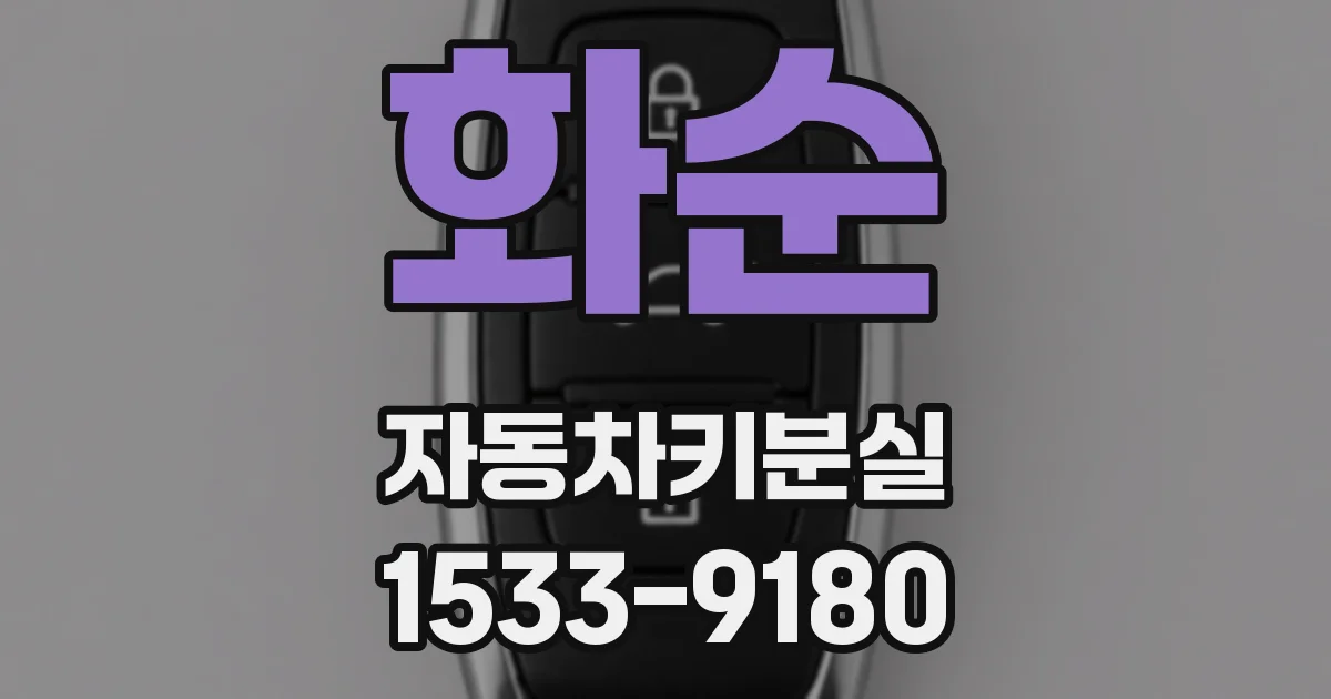 화순 자동차키분실