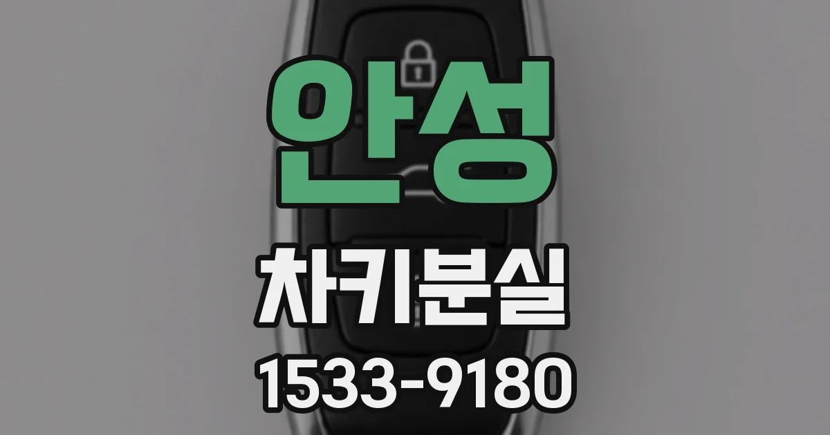 안성 차키분실