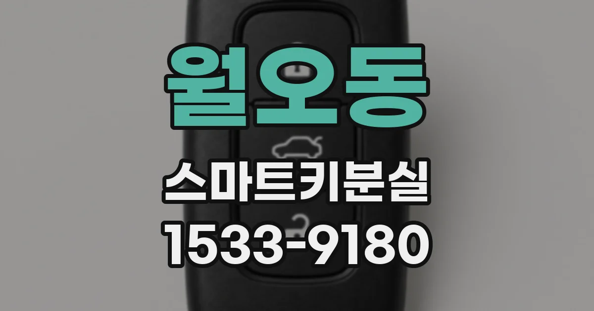 월오동 스마트키분실