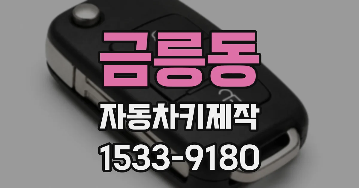금릉동 자동차키제작