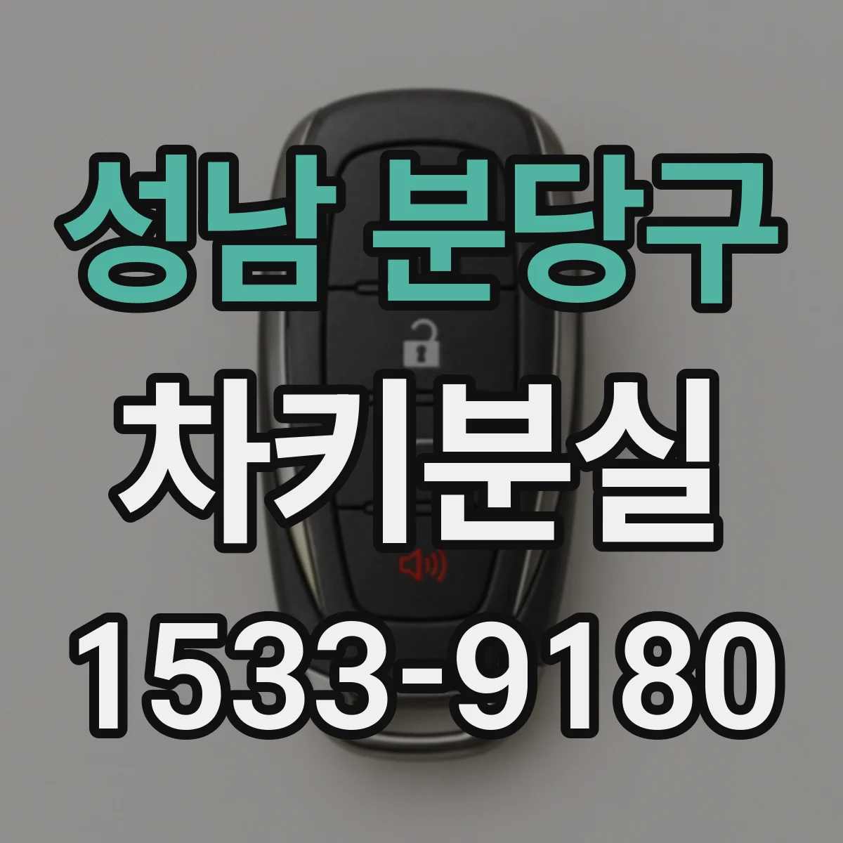 성남 분당구 차키분실
