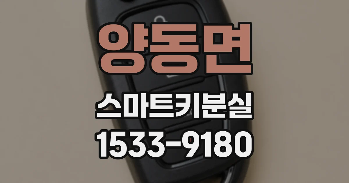 양동면 스마트키분실