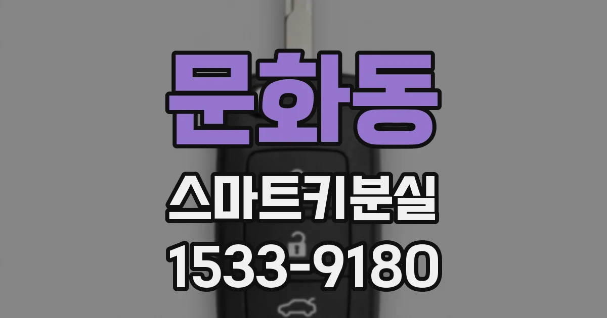 문화동 스마트키분실
