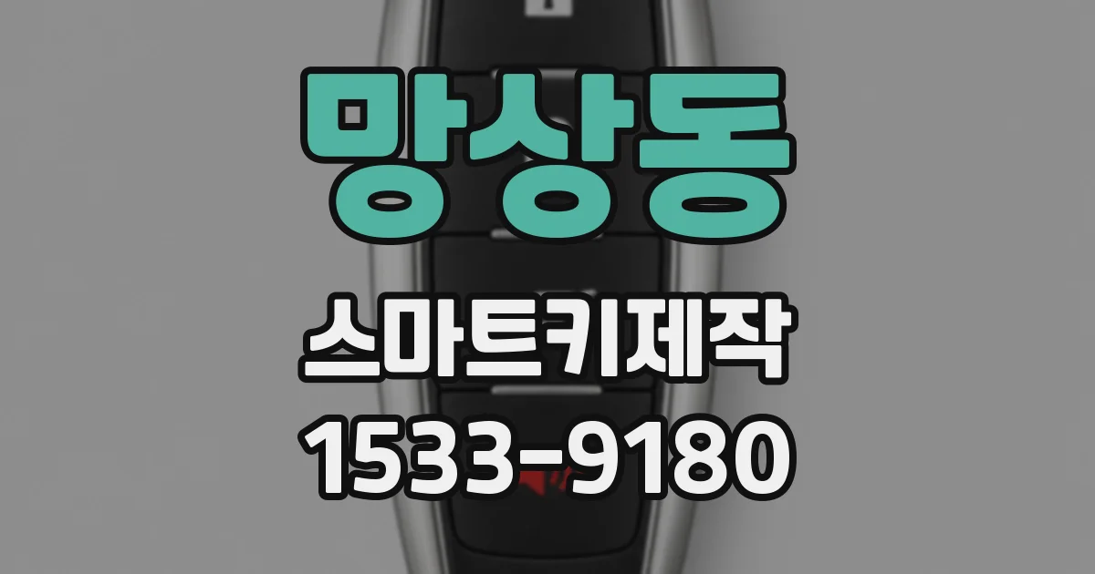 망상동 스마트키제작