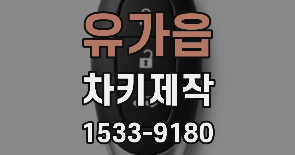유가읍 차키제작
